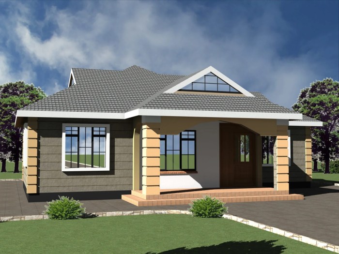 Modern 3 bedroom home design