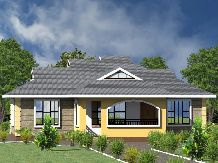 Modern 3 bedroom home design